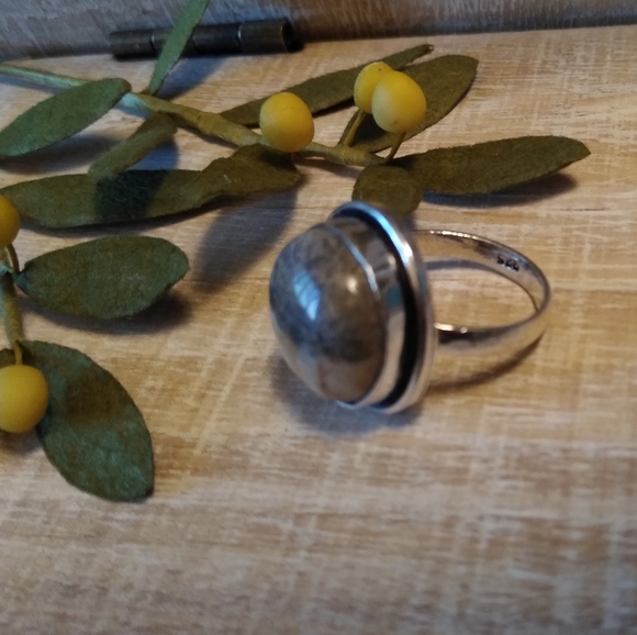 OCEAN JASPER SILVER PLATED RING NWOT - Picture 3 of 6
